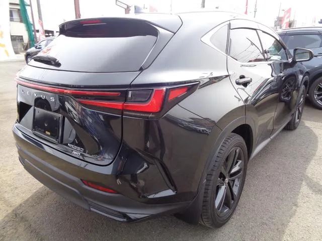 Lexus NX NX250 VERSION L 2022 — миниатюра 3