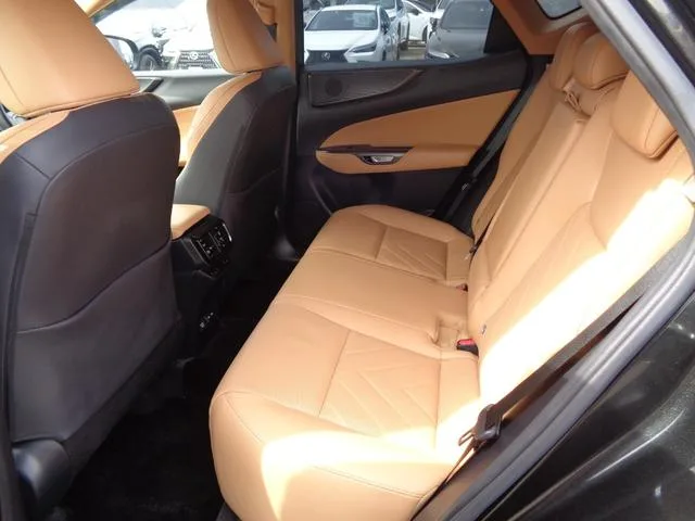 Lexus NX NX250 VERSION L 2022 — миниатюра 4