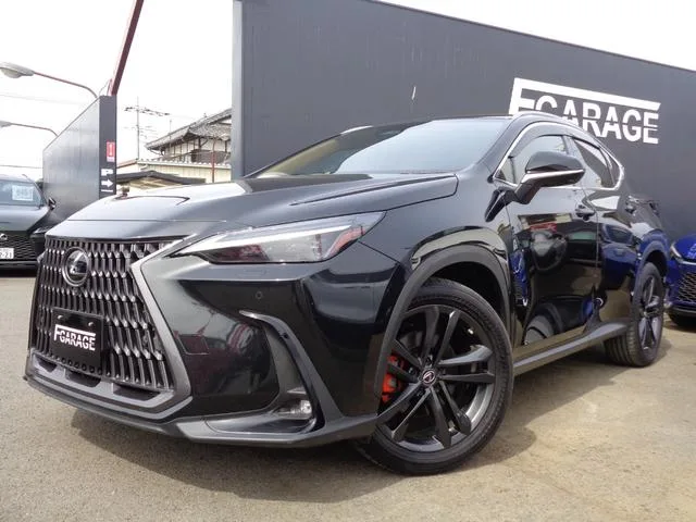 Lexus NX NX250 VERSION L 2022 — фото 1, купить с доставкой в Москву
