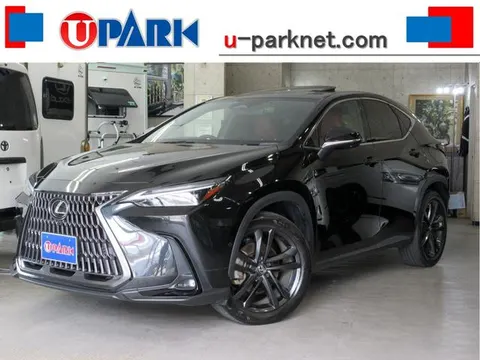 Lexus NX 2023 купить в Москве