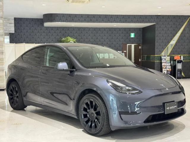 Tesla MODEL Y BASE GRADE 2022 — миниатюра 3