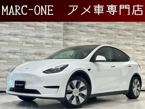 Tesla Model Y 2023 buy in Moscow