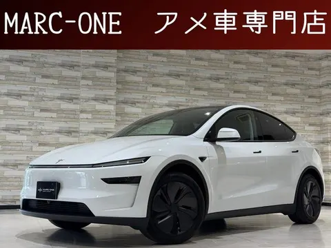 Tesla Model Y 2025 buy in Moscow