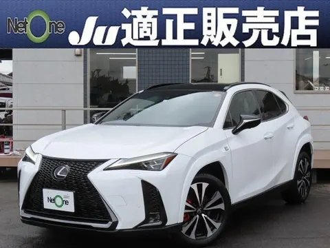 Lexus UX 2023 buy in Moscow