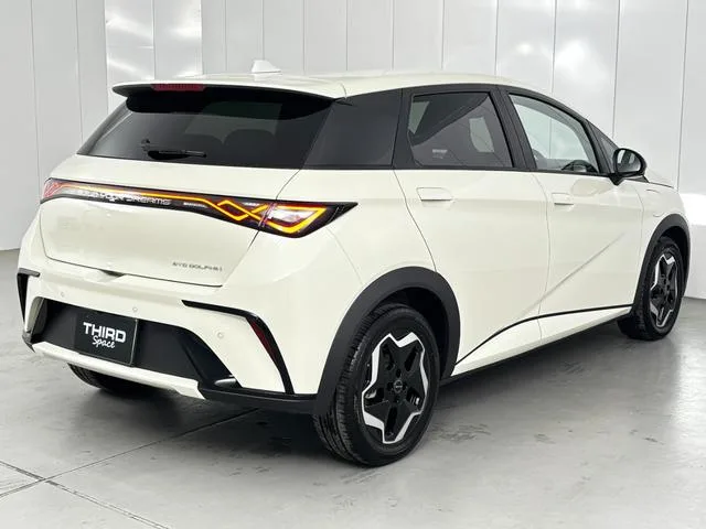 BYD Dolphin BASE LINE 2025 — миниатюра 4
