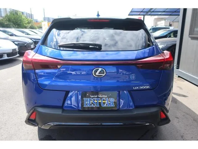 Lexus UX UX300H F SPORT 2024 — миниатюра 5