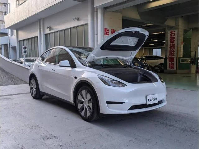 Tesla Model Y 2022 — миниатюра 5