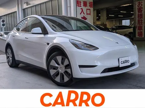 Tesla Model Y 2022 buy in Moscow