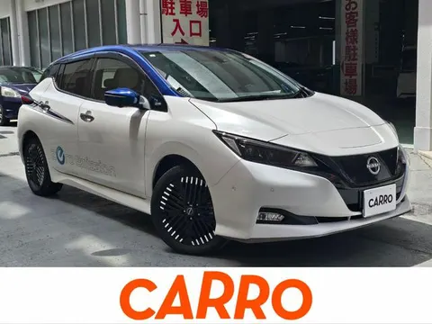 Nissan Leaf 2023 buy in Moscow