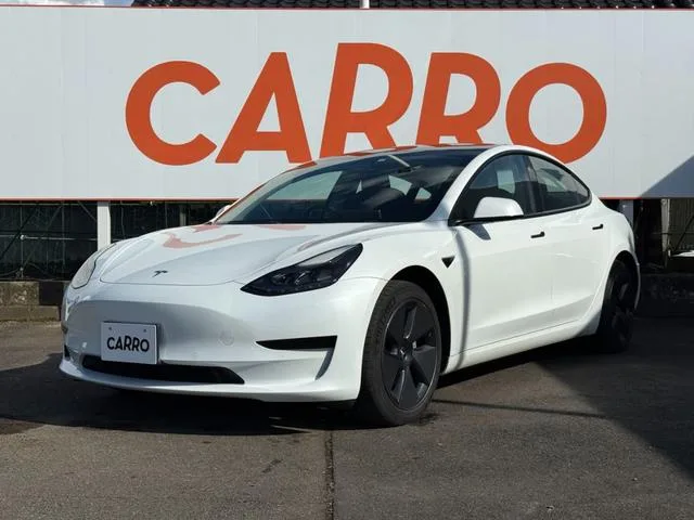 Tesla MODEL 3 RWD 2022 — фото 1, купить с доставкой в Москву