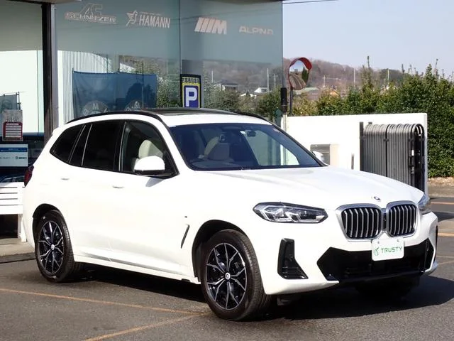 BMW X3 X DRIVE 20D M SPORT 2023 — миниатюра 4