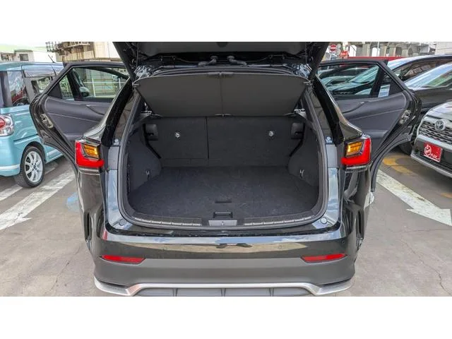 Lexus NX NX350 F SPORT 2024 — миниатюра 5
