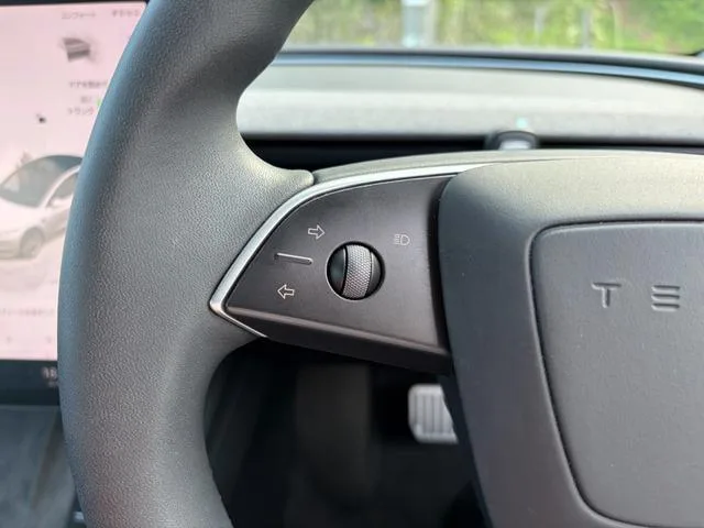 Tesla MODEL 3 RWD 2024 — миниатюра 4