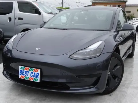 Tesla Model 3 2023 buy in Moscow