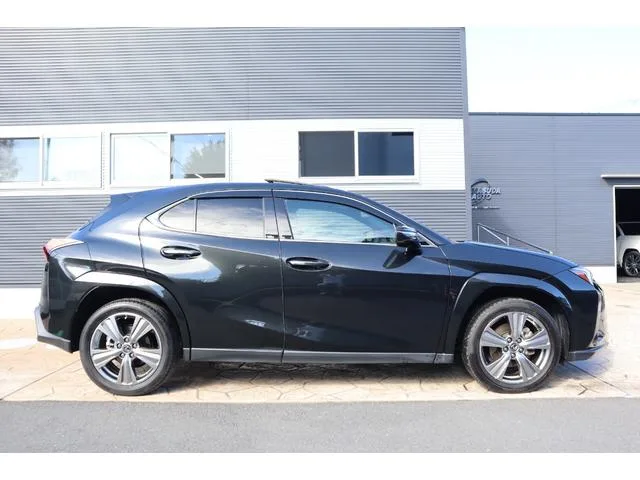 Lexus UX UX250H GRACEFUL EXPLORER 2023 — миниатюра 2