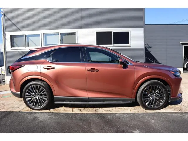 Lexus RX RX450H+ VERSION L 2023 — миниатюра 2