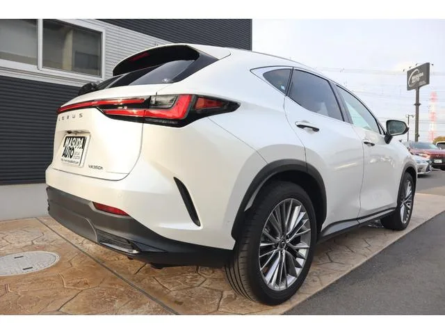 Lexus NX NX350H VERSION L 2023 — миниатюра 2