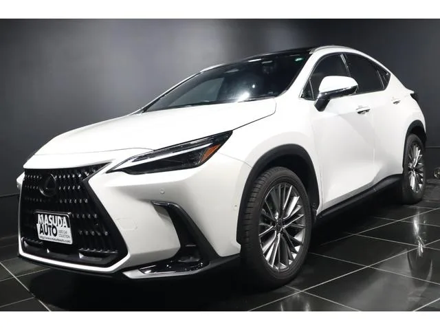 Lexus NX NX350H VERSION L 2023 — фото 1, купить с доставкой в Москву