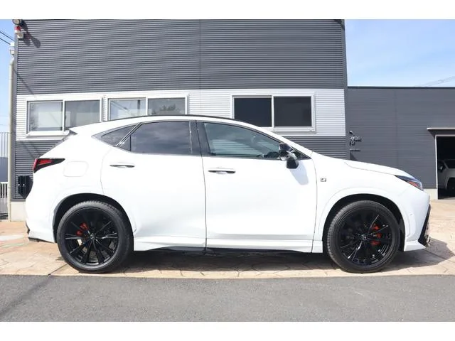 Lexus NX NX450H+ F SPORT 2023 — миниатюра 2