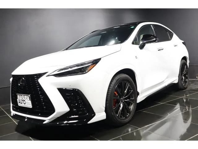 Lexus NX NX350H F SPORT 2023 — фото 1, купить с доставкой в Москву