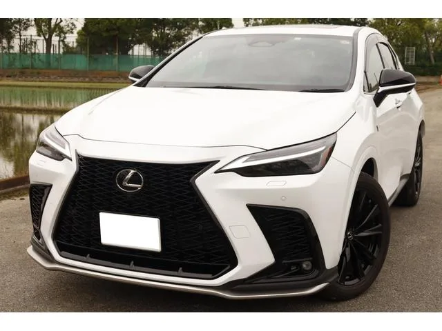 Lexus NX NX450H+ F SPORT 2023 — фото 1, купить с доставкой в Москву