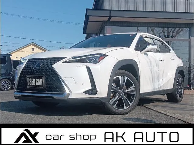 Lexus UX UX250H VERSION L 2023 — фото 1, купить с доставкой в Москву