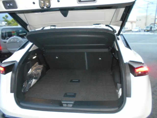 Nissan ARIYA B6 2023 — миниатюра 2