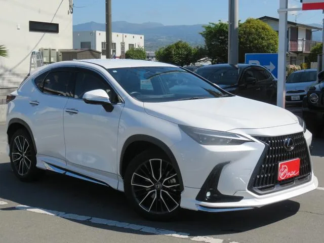 Lexus NX NX250 VERSION L 2023 — миниатюра 2