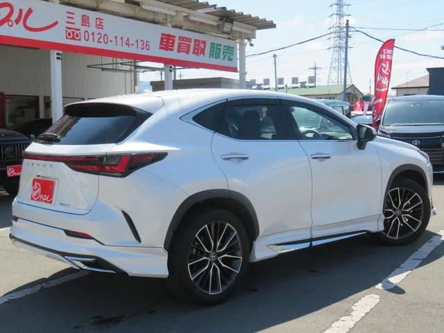 Lexus NX NX250 VERSION L 2023 — миниатюра 3