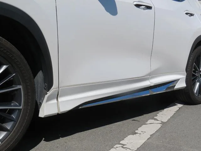 Lexus NX NX250 VERSION L 2023 — миниатюра 4