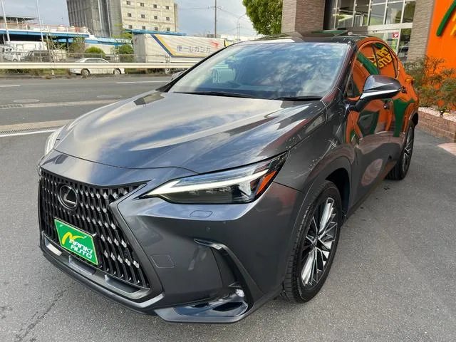 Lexus NX NX350H VERSION L 2023 — миниатюра 2