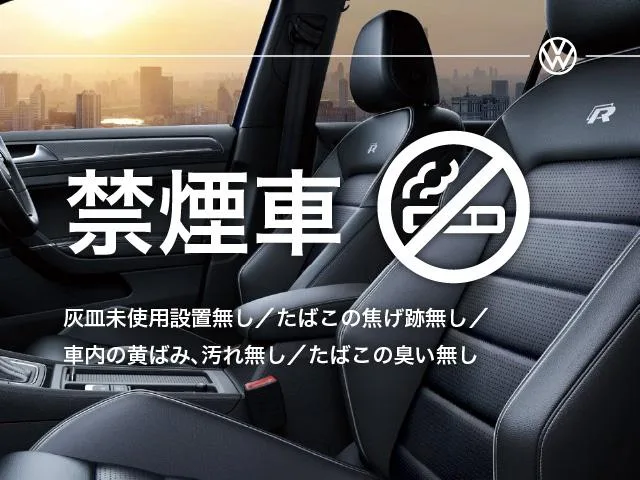 Volkswagen PASSAT TDI 4MOTION R LINE 2025 — миниатюра 2