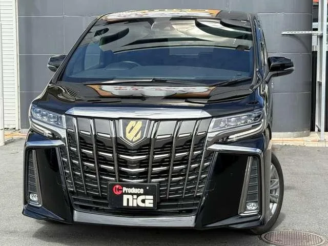 Toyota ALPHARD 2.5S TYPE GOLD III 2022 — миниатюра 3