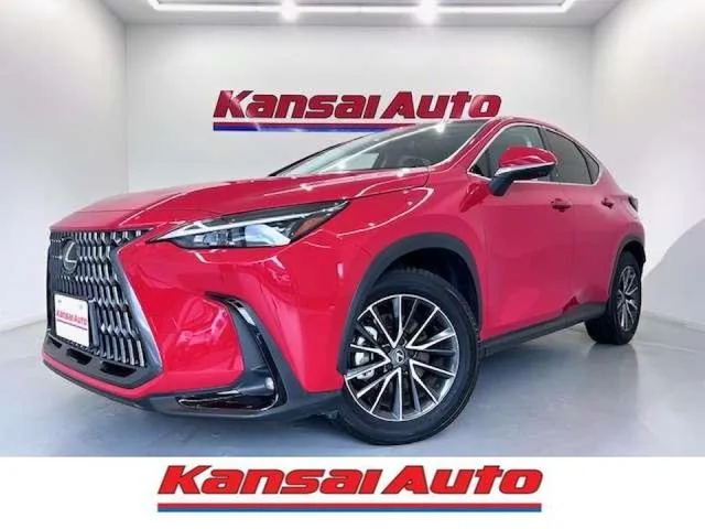 Lexus NX NX250 2023 — фото 1, купить с доставкой в Москву