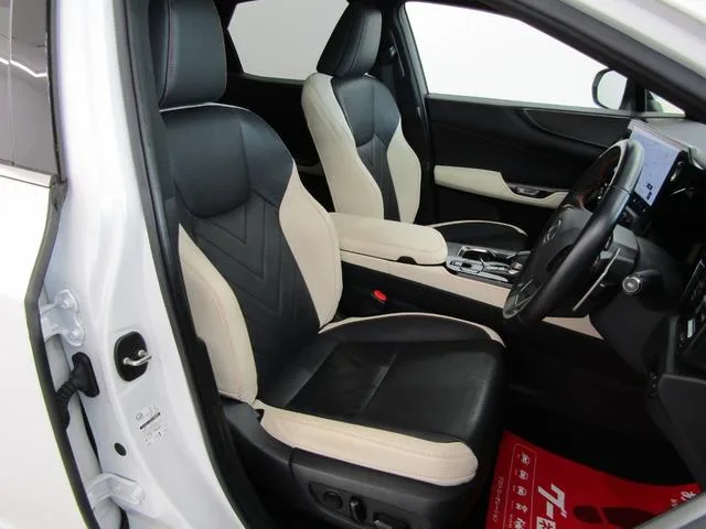 Lexus NX NX250 VERSION L 2023 — миниатюра 3