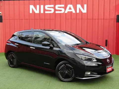 Nissan Leaf 2023 buy in Moscow