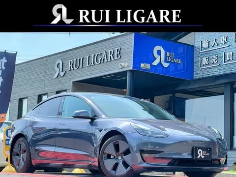 Tesla Model 3 2022 buy in Moscow