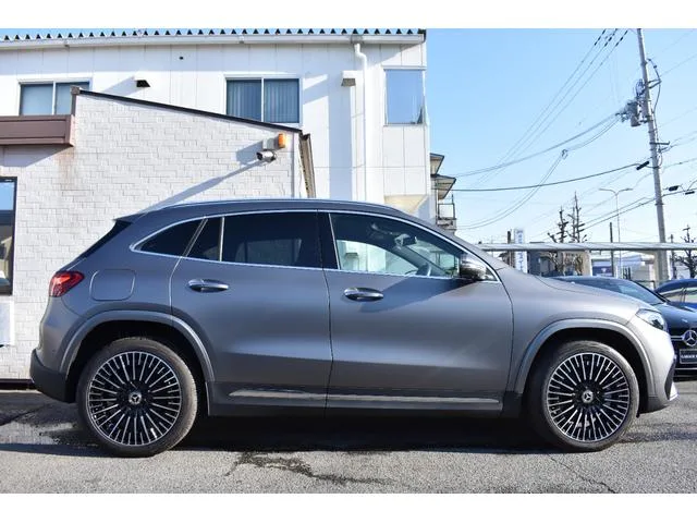 Mercedes-Benz EQA EQA250+ AMG LINE PACKAGE 2024 — миниатюра 2