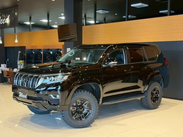 Toyota LAND CRUISER PRADO TX 2022 — миниатюра 5