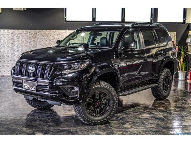 Toyota Land Cruiser Prado 2022 — миниатюра 2