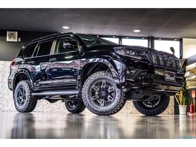 Toyota Land Cruiser Prado 2022 — миниатюра 4