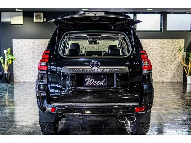 Toyota Land Cruiser Prado 2022 — миниатюра 5