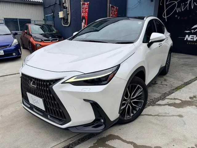 Lexus NX NX350H VERSION L 2023 — миниатюра 2