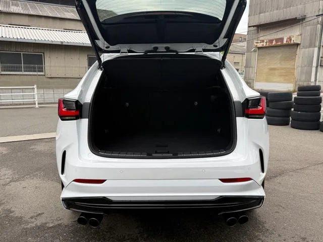 Lexus NX NX350 F SPORT 2025 — миниатюра 3