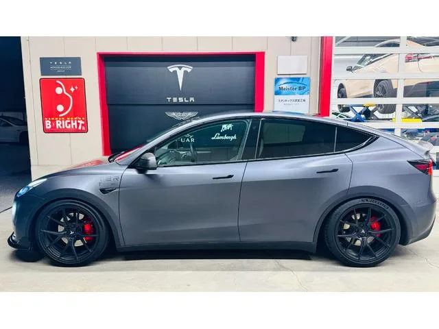 Tesla MODEL Y PERFORMANCE 2022 — миниатюра 2