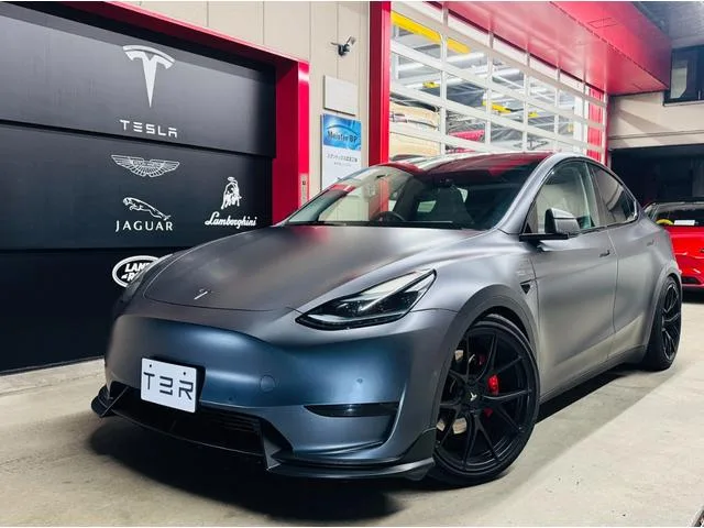 Tesla MODEL Y PERFORMANCE 2022 — фото 1, купить с доставкой в Москву