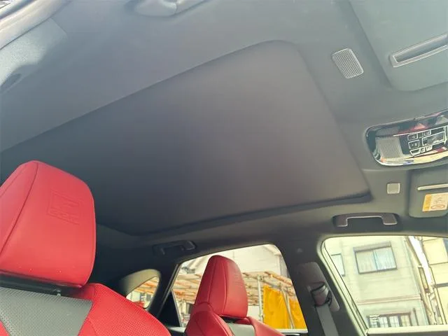 Lexus NX NX350H F SPORT 2023 — миниатюра 4