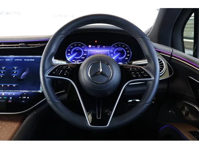 Mercedes-Benz EQS SUV EQS450 4MATIC SUV AMG LINE PACKAGE 2023 — миниатюра 5