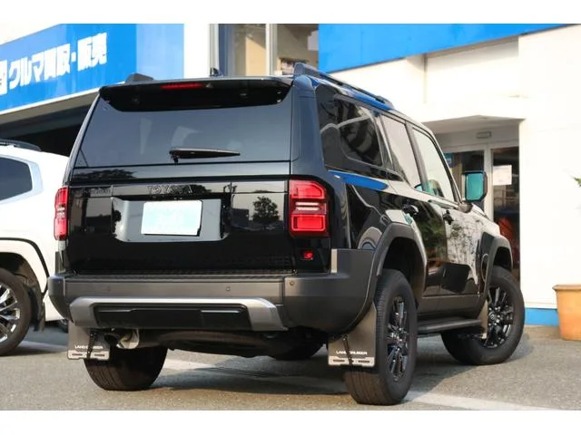Toyota LAND CRUISER 250 VX 2024 — миниатюра 3