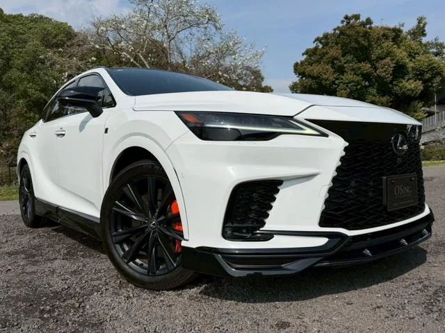 Lexus RX RX500H F SPORT PERFORMANCE 2023 — миниатюра 5